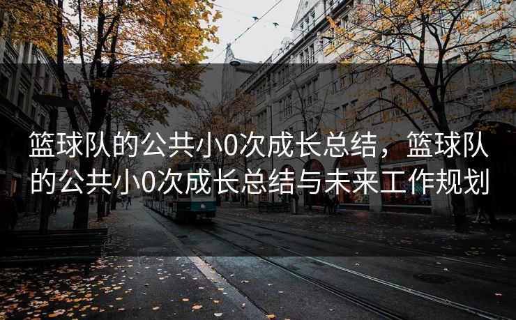 篮球队的公共小0次成长总结，篮球队的公共小0次成长总结与未来工作规划