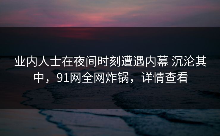 业内人士在夜间时刻遭遇内幕 沉沦其中，91网全网炸锅，详情查看