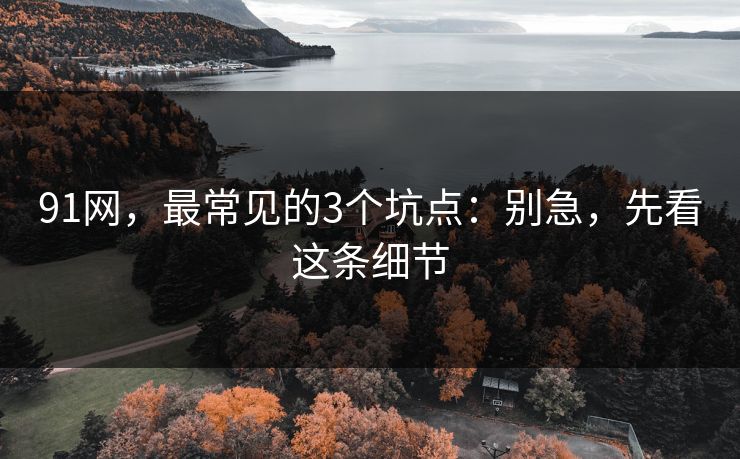 91网，最常见的3个坑点：别急，先看这条细节