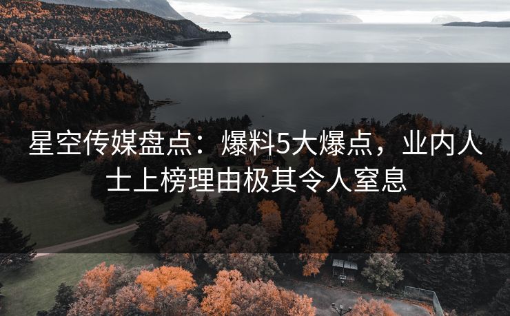 星空传媒盘点：爆料5大爆点，业内人士上榜理由极其令人窒息